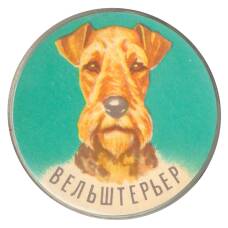 Значок Вельштерьер (аверс)