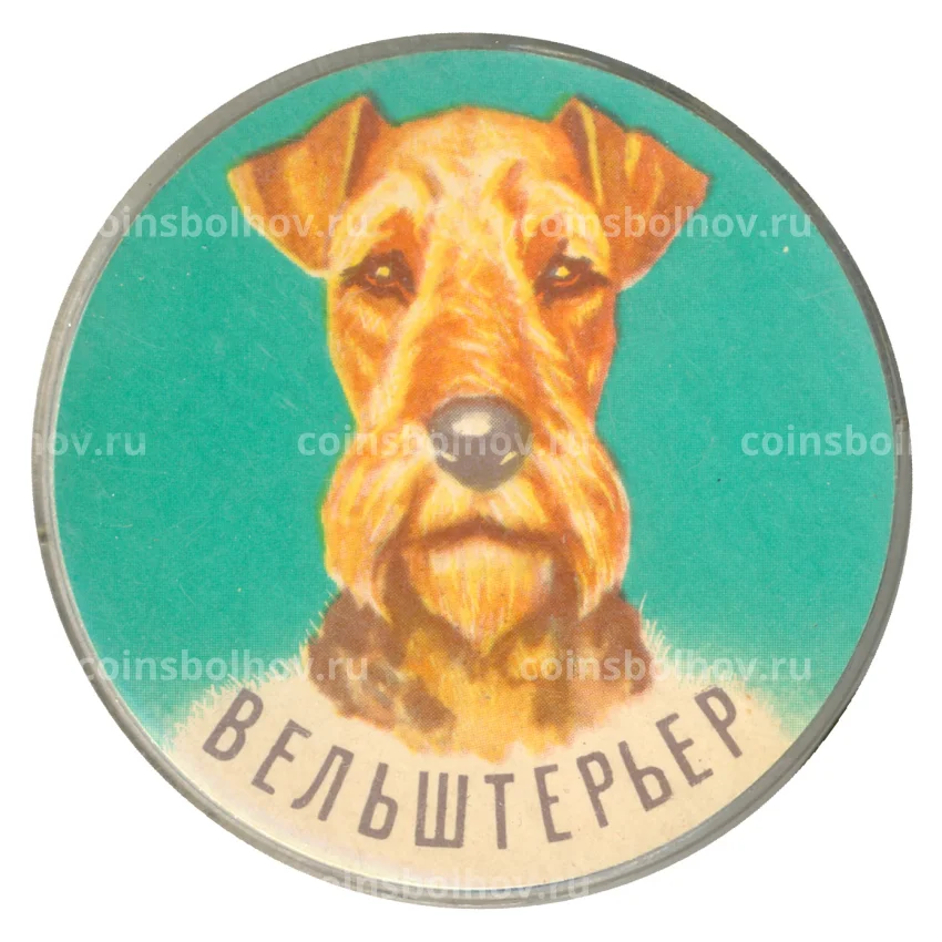 Значок Вельштерьер