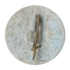 Значок Морской конек (реверс)