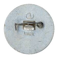 Значок Астрахань — Дом-музей Ульяновых (вид 2)