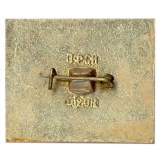 Значок Домик Лермонтова (вид 2)