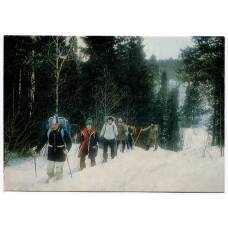 Открытка «В северной тайге» (аверс)