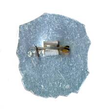 Значок И.Франко (вид 2)