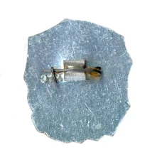 Значок И.Франко (вид 2)