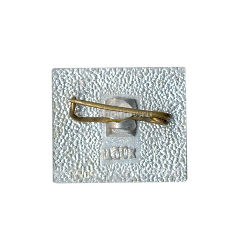 Значок Байкал (вид 2)