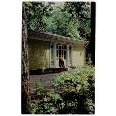 Открытка Ленинград. Летний сад. Чайный домик.