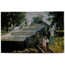 Открытка Петродворец — Каскад «Шахматная гора»