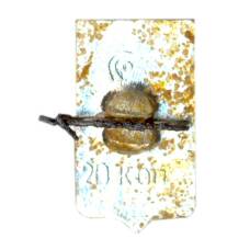 Значок Пошехонье (вид 2)