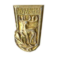 Значок Горький