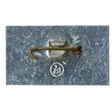 Значок Новгород (вид 2)