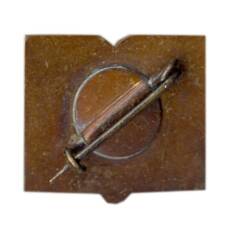 Значок Варгамяэ (вид 2)