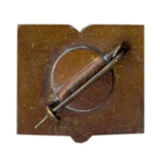 Значок Варгамяэ (вид 2)