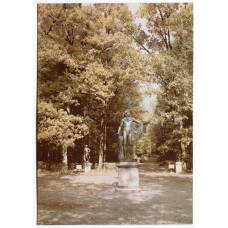 Открытка Павловск — Парк Старая Сильвия. Центральная площадка.