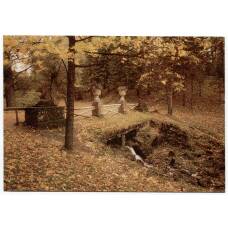 Открытка Павловск — Парк. Старая Сильвия. Мостик над руинным каскадом.