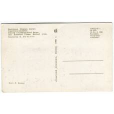 Открытка Волгоград — Мамаев курган. Зал Воинской Славы. Вечный огонь. (вид 2)