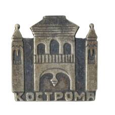 Значок Кострома