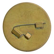 Значок Катамаран (вид 2)