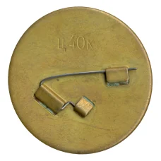 Значок Катамаран (вид 2)