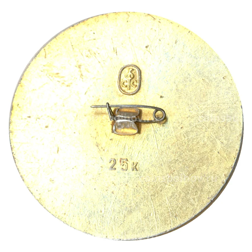 Значок Новоафонская пещера (вид 2)