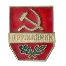 Значок Дружинник
