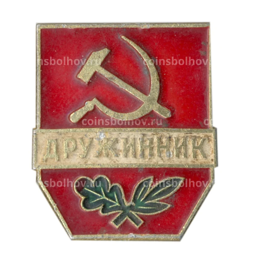 Значок Дружинник