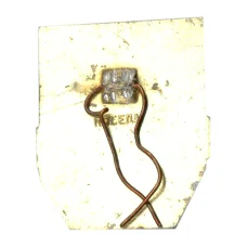 Значок Дружинник (вид 2)