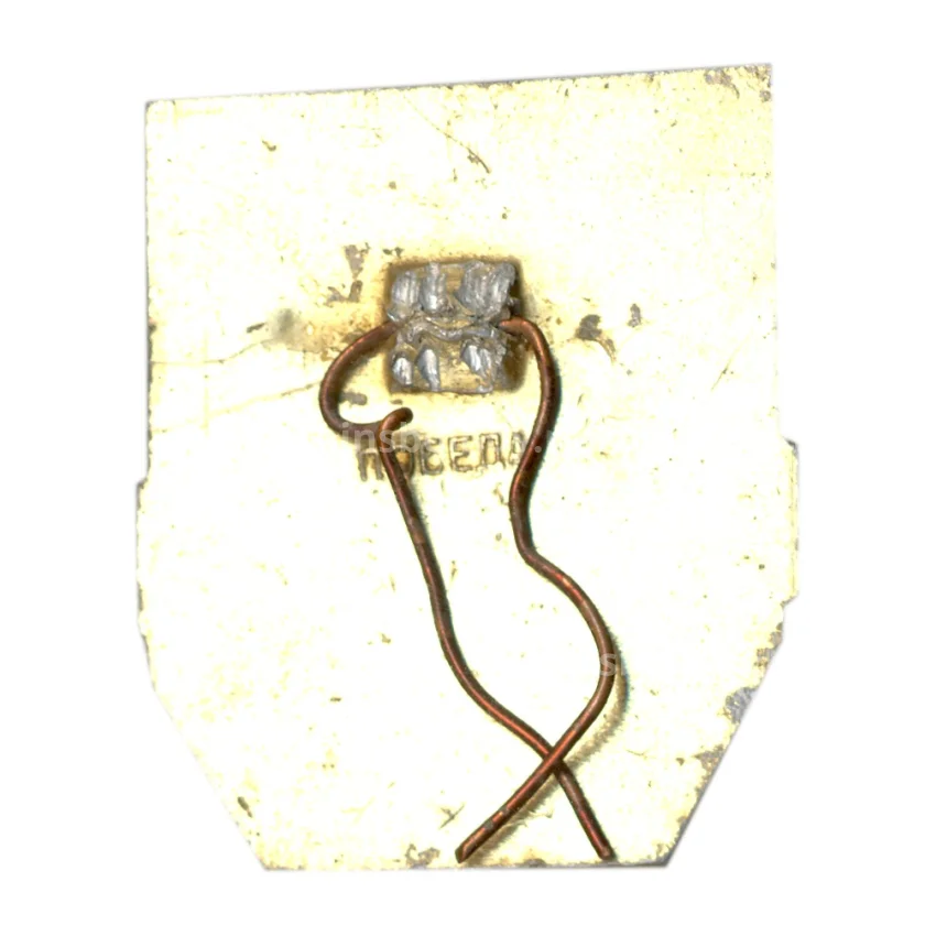 Значок Дружинник (вид 2)