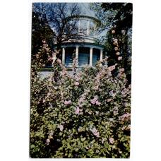 Открытка Киев — Ротонда в парке «Аскольдова могила»