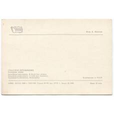 Открытка Спасское-Лутовиново — Березовая аллея (вид 2)