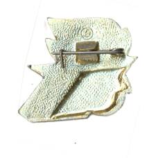 Значок «Дружина юных пожарников» (ДЮП) (вид 2)