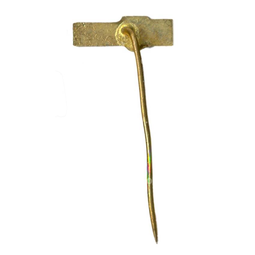 Значок Гандлова (Словения) (вид 2)