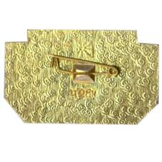 Значок Молдавская ССР (вид 2)