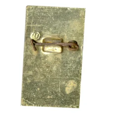 Значок Домбай (вид 2)