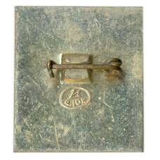 Значок Владимир (вид 2)