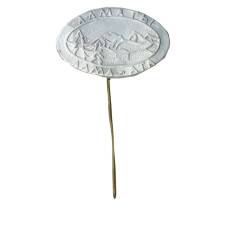 Значок Алма-Ата