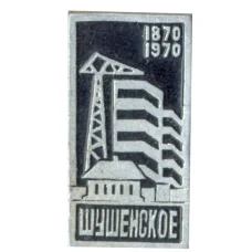 Значок Шушенское