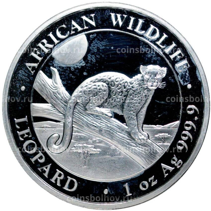 Монета 100 шиллингов 2021 года Сомали — Африканская дикая природа — Леопард