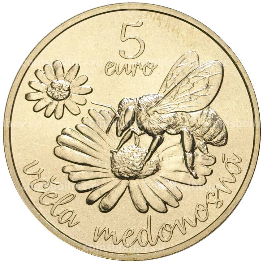Монета 5 евро 2021 года Словакия —  Медоносная пчела