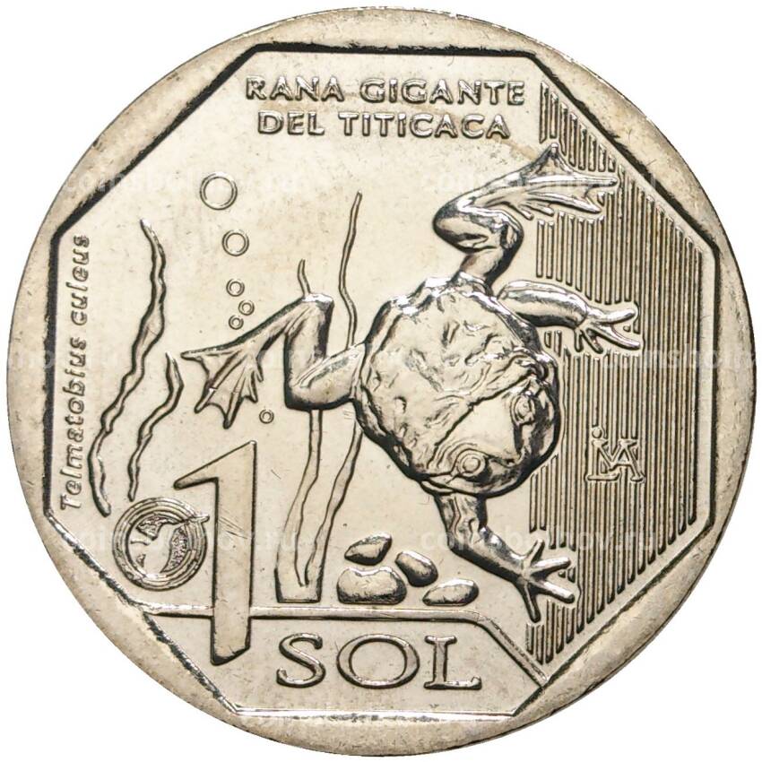 Монета 1 соль 2019 года Перу — Водяная лягушка Титикака