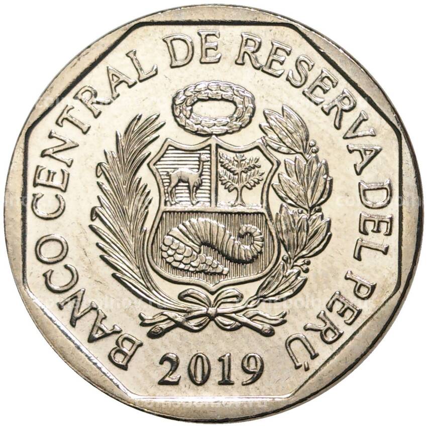 Монета 1 соль 2019 года Перу — Водяная лягушка Титикака (вид 2)
