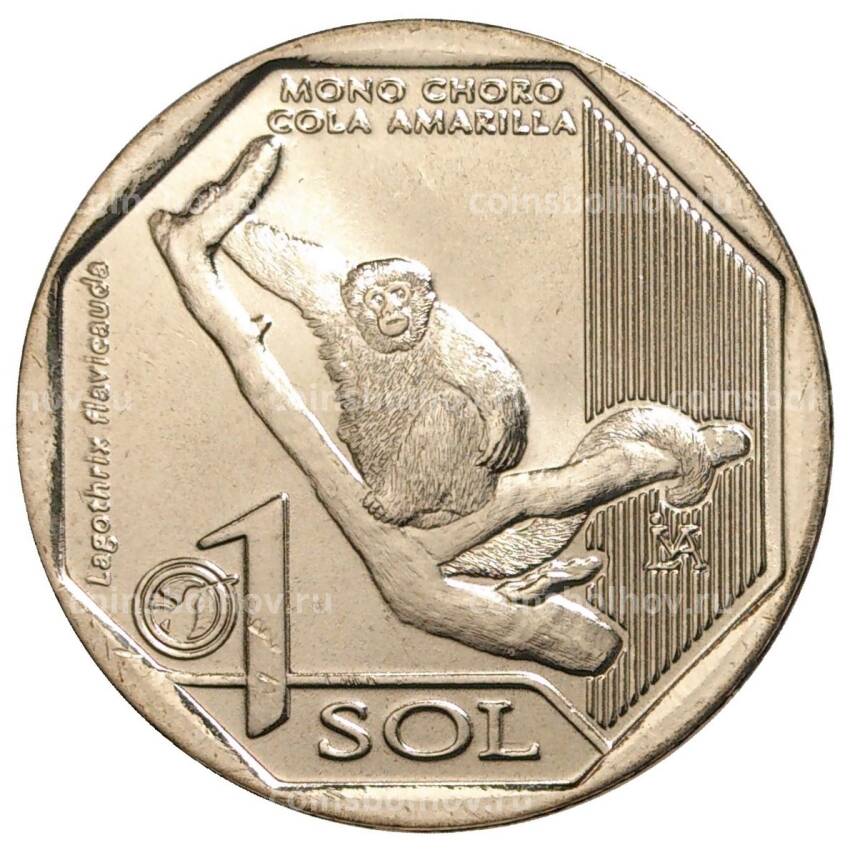 Монета 1 соль 2019 года Перу — Желтохвостая обезьяна (Lagothrix flavicauda)