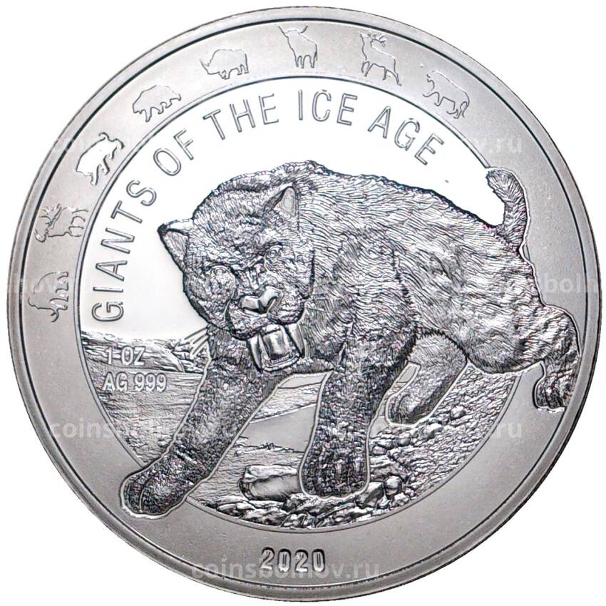Монета 5 седи 2020 года Гана —  Гиганты Ледникового периода — Саблезубый тигр