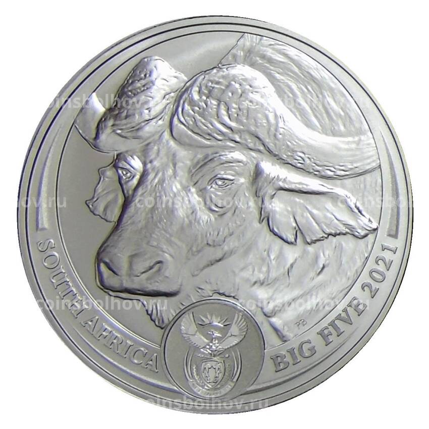 Монета 5 рэндов 2021 года ЮАР —  Большая Пятерка — Буйвол (в буклете)