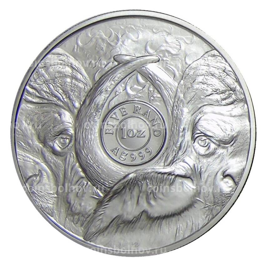 Монета 5 рэндов 2021 года ЮАР —  Большая Пятерка — Буйвол (в буклете) (вид 2)