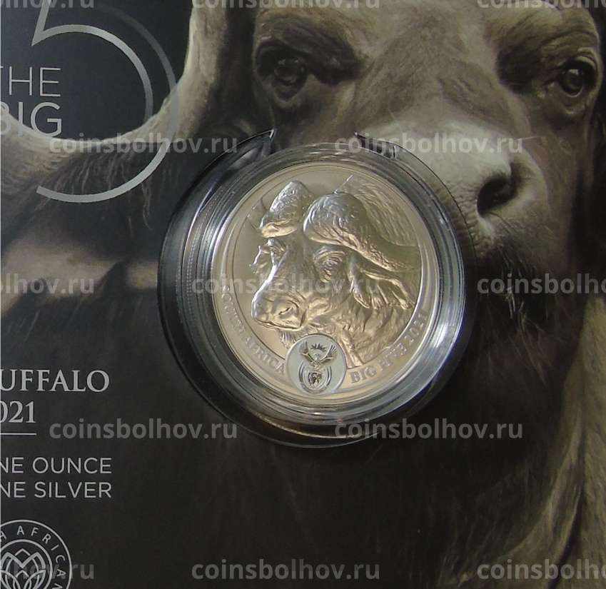 Монета 5 рэндов 2021 года ЮАР —  Большая Пятерка — Буйвол (в буклете) (вид 3)