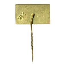 Значок Вильнюс (вид 2)