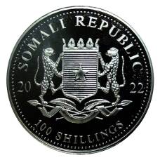 Монета 100 шиллингов 2022 года Сомали —  Африканская дикая природа — Африканский слон (реверс)