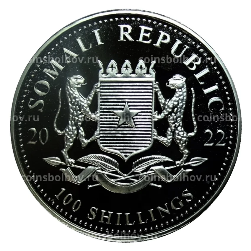 Монета 100 шиллингов 2022 года Сомали —  Африканская дикая природа — Африканский слон (вид 2)