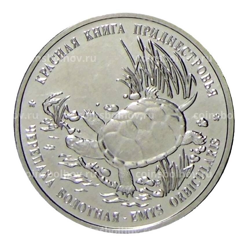 Монета 1 рубль 2018 года Приднестровье —  Красная книга Приднестровья — Черепаха болотная
