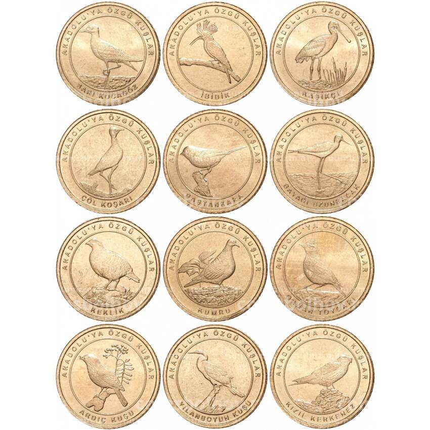 Набор из 12 монет 1 куруш 2021 года Турция «Птицы Анатолии»